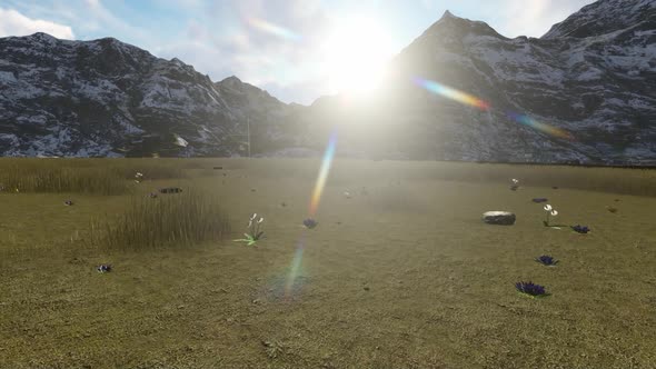 Panorama of mountains during the day