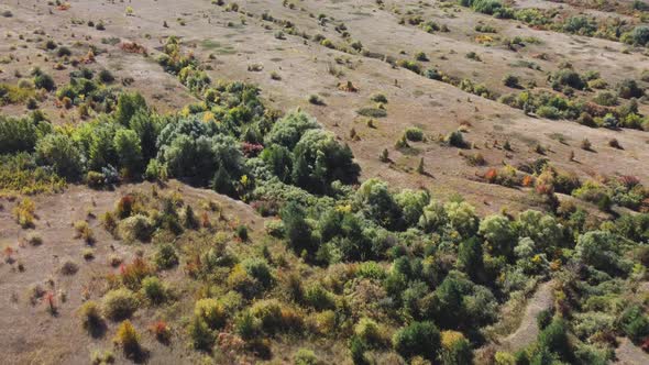 Plain Fields Trees From a Bird's Eye View