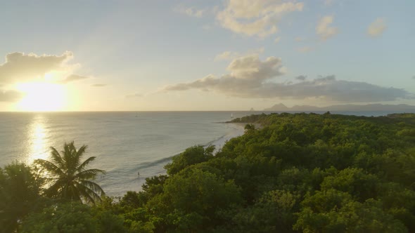 Aerial of dense forest near beautiful sea coast at sunset