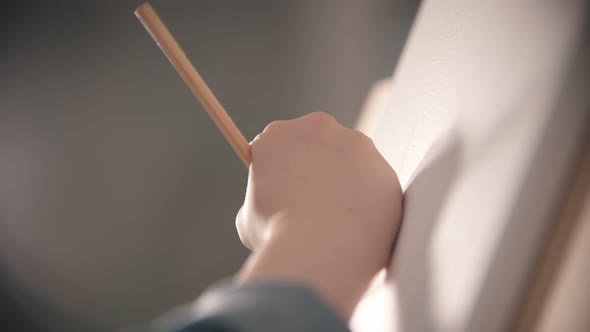 A Hand of Young Woman Sketching a Tree on the Canvas Using a Pencil