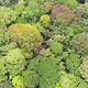 Park Trianon, Museum Of Art Sao Paulo, Brazil (Aerial View, Drone Footage) - VideoHive Item for Sale