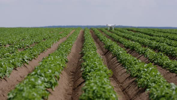 Smart Agriculture Drone Flying Over Agriculture in the Field of Innovation and Technology