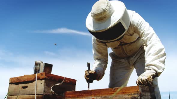 Beekeeper harvesting honey