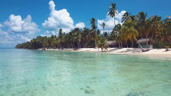 4k 24fps Caribbean Beach Virgin With Palms Tree And Crystal Water