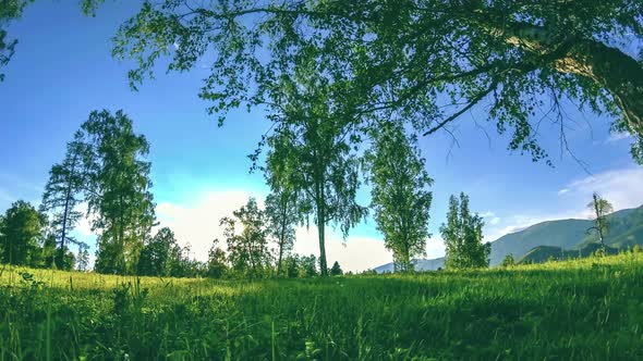 Mountain Meadow Time-lapse at the Summer or Autumn Time. Wild Nature and Rural Field. Motorised