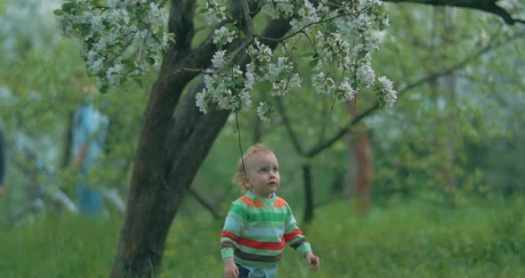 He wants to get these beautiful flowers