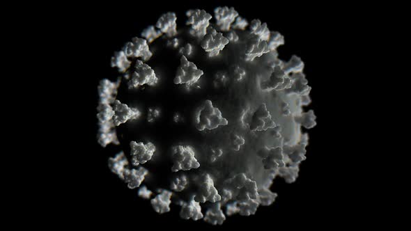 Coronavirus