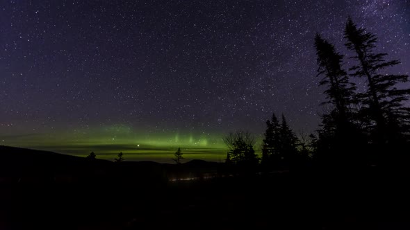 Northern Lights Above Forest By Road