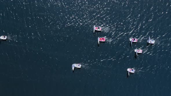 Top view of sailing boats on lake during the competition