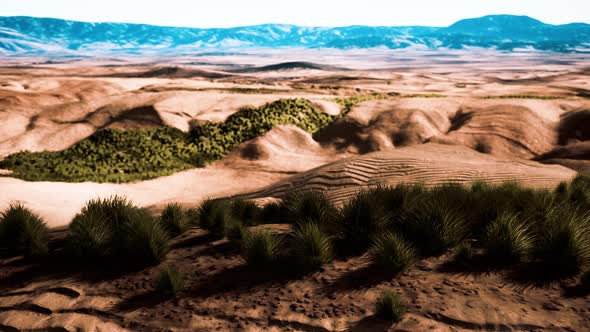 Desert Landscape in Crater National Park