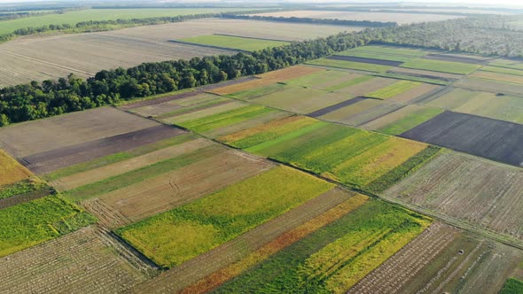 Aerial View of Colorful Sections of a Large Field on a Sunny Day