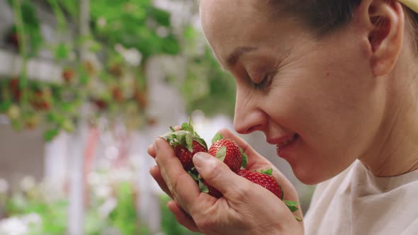 Woman Smelling Bunch Of Strawberries In Hand