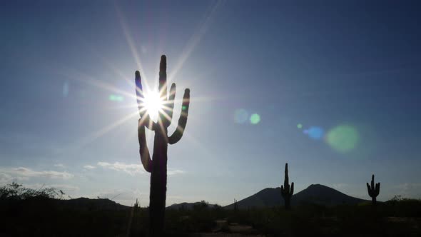 Hot Desert Sun