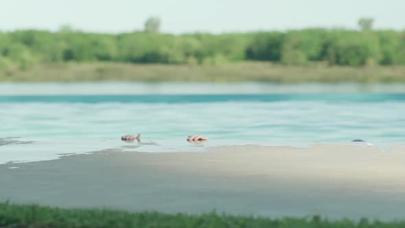 Family emerging from water together