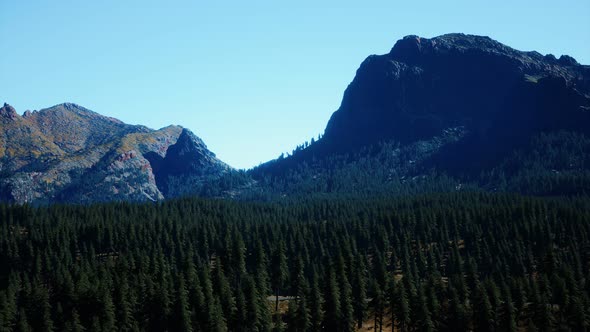 Panorama of Cone Forest at Mountains