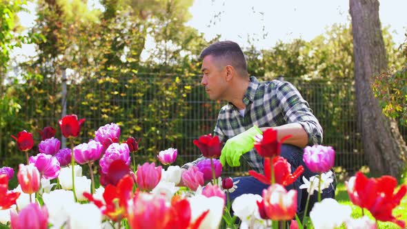 Middle-aged Man Taking Care of Flowers at Garden