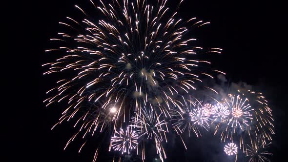 Colorful Firework display at night on sky background