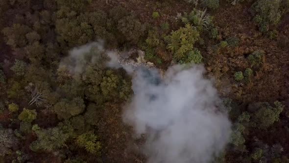 Hot pool in rainforest