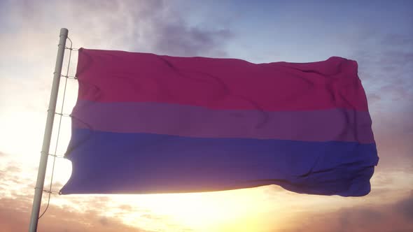Bisexual Pride Flag Waving in the Wind Sky and Sun Background