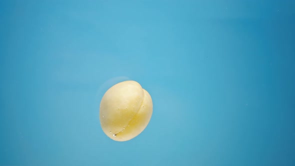 Yellow Apricot Floats in Water