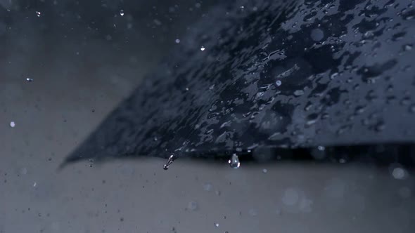 Rain and umbrella, Slow Motion alt