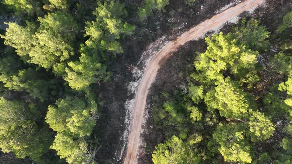 Mountain road in the forest aerial view 4 K