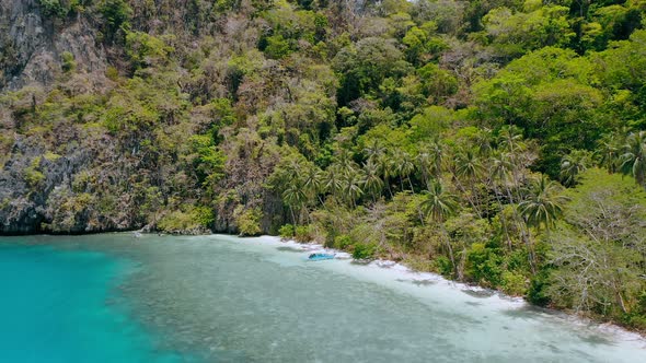 Drone Aerial View of Remote Paradise Beach with Palm Trees Swaying in the Wind