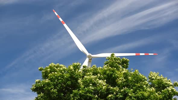 Windmill For Electric Power Production 