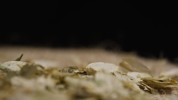 Rotating shot of barley and other beer brewing ingredients