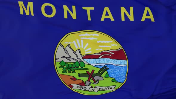 Flag of Montana State Region of the United States Waving at Wind