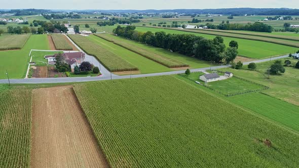 Aerial View of Corn Fields and Fertile Farmlands and Farms