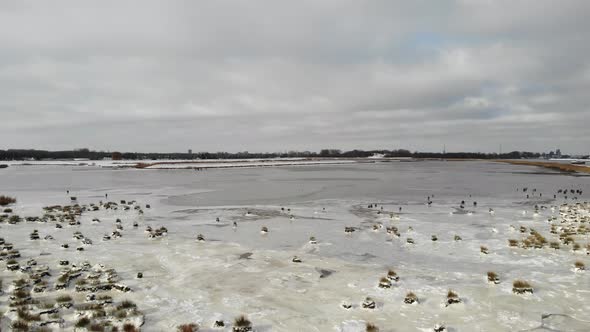 Panorama Of A Frozen Lake With Growing Grass On Countryside Of Crezeepolder Near Village Of Ridderke