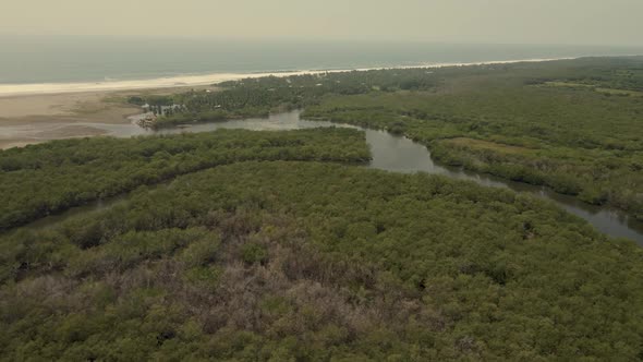 Approaching to Lush Green Wetlands Amazing Natural Reserve