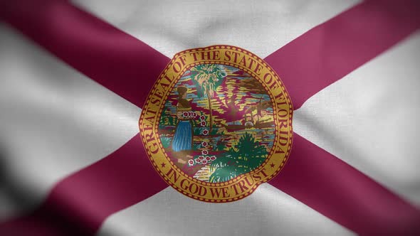 Florida State Flag Front HD