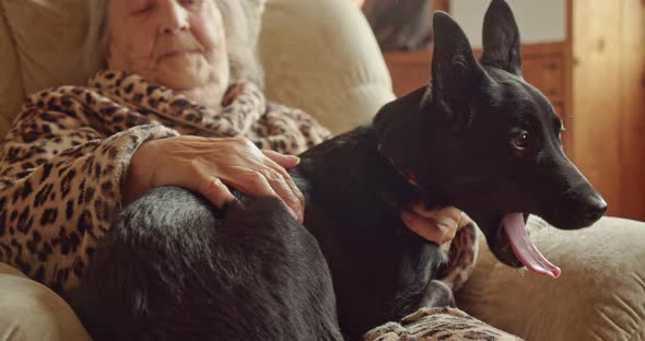 Grandma is in the Dog in Her Country House the Pet is Yawning