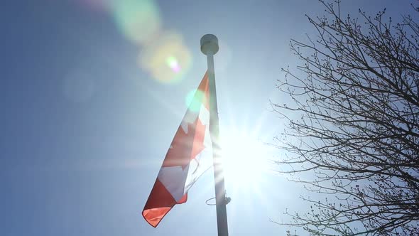 Canadian flag blowing in the breeze against the sun.