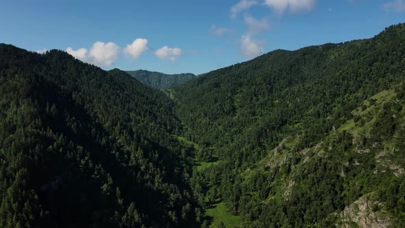 Green Trees Located on Several Mountain Peaks