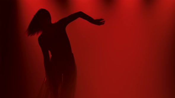 Flexible Woman Dancing in Modern Contemporary Choreography Style. A Female Dancer Is Silhouetted