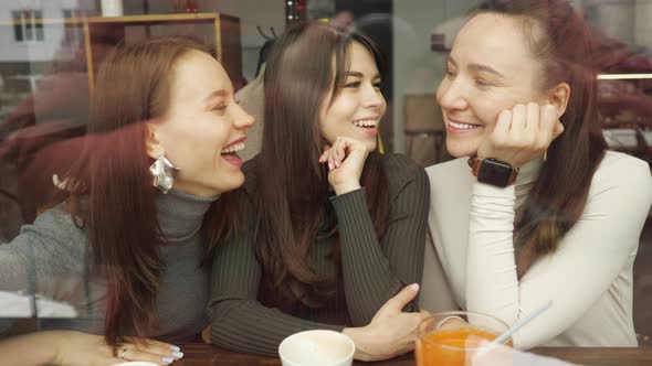 Women Girlfriends in a Cafe are Having a Fun Chatting and Drinking Their Beverages