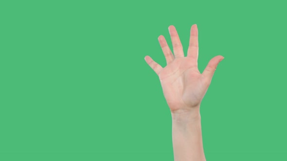 Cropped Shot of Person Raising Up Hand on Green Background