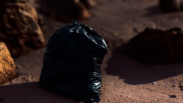 Black Plastic Garbage Bags Full of Trash on the Beach