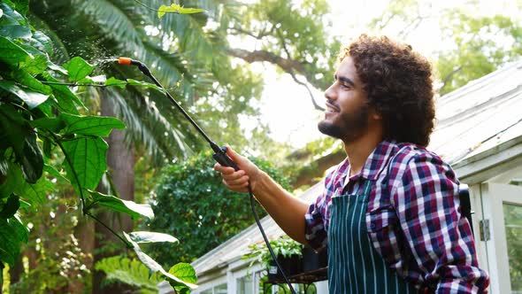 Man watering plant with garden sprayer