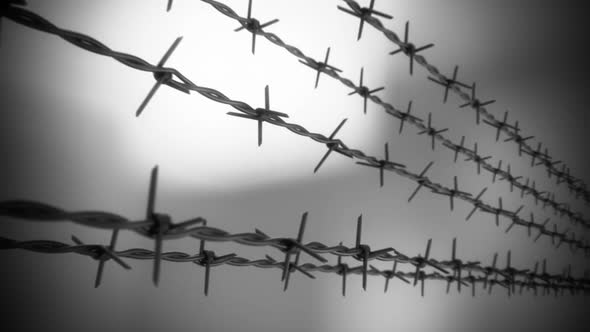 A horizontal motion animation of isolated sharp barbed wire. Loopable. HD