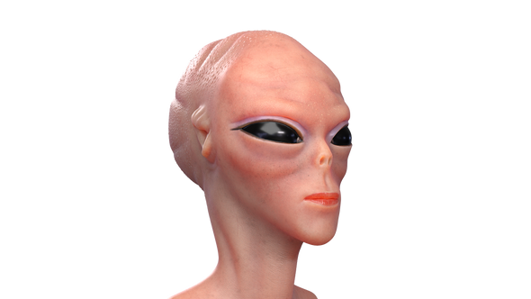 Alien Lady