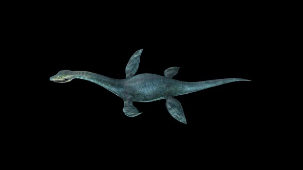 Plesiosaur Dinosaur Swim Top View