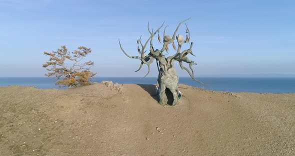 Lake Baikal landscape Iconic landmark - Baikal Keeper Tree Tranquil Aerial View Drone Shot