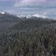 Bird's-eye view of the winter forest on the mountain - VideoHive Item for Sale