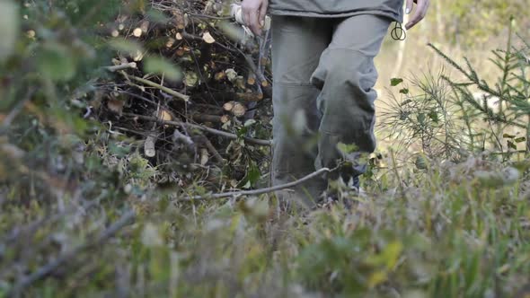 Slow Motion of Forestry Female Engineer Inspects Young Pine Seedlings That Are Planted As Part of