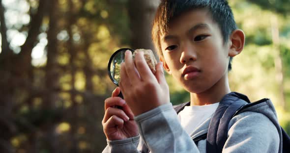 Kid examining a rock in the forest 4k