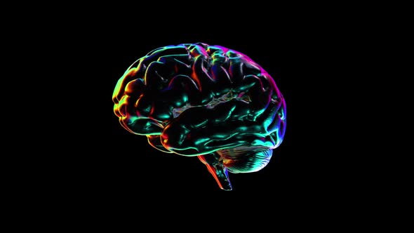 Abstract Human Brain with Rainbow Reflections Looped Animation